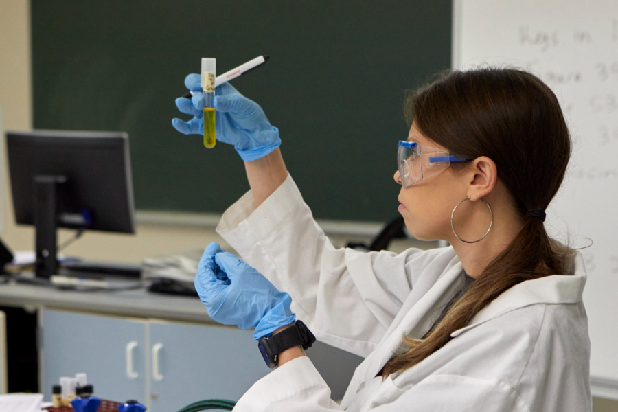 Chemistry student inspecting test tube
